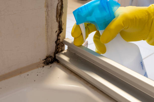 Environmental Consulting for Mold Prevention in Hobart, WI